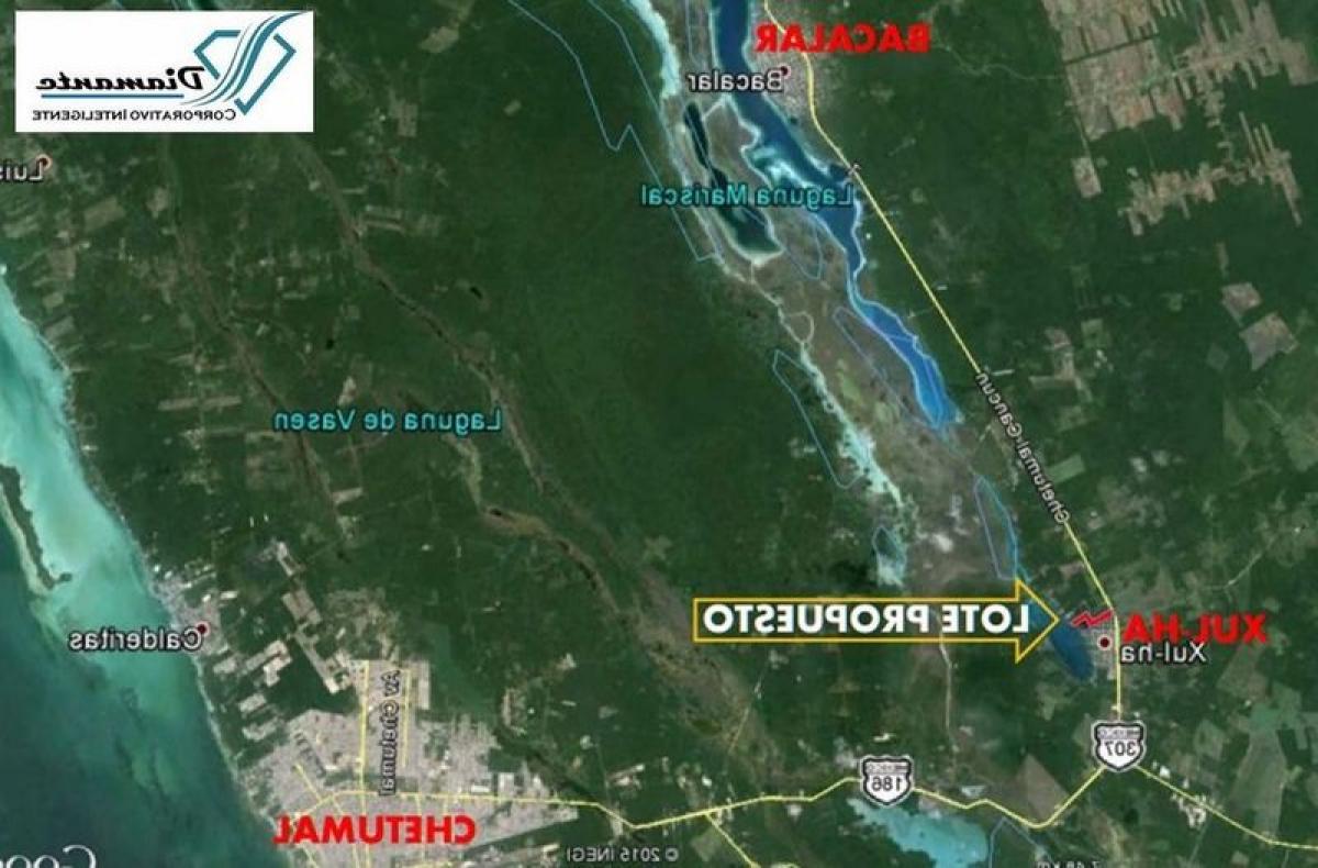 Picture of Residential Land For Sale in Othon P. Blanco, Quintana Roo, Mexico