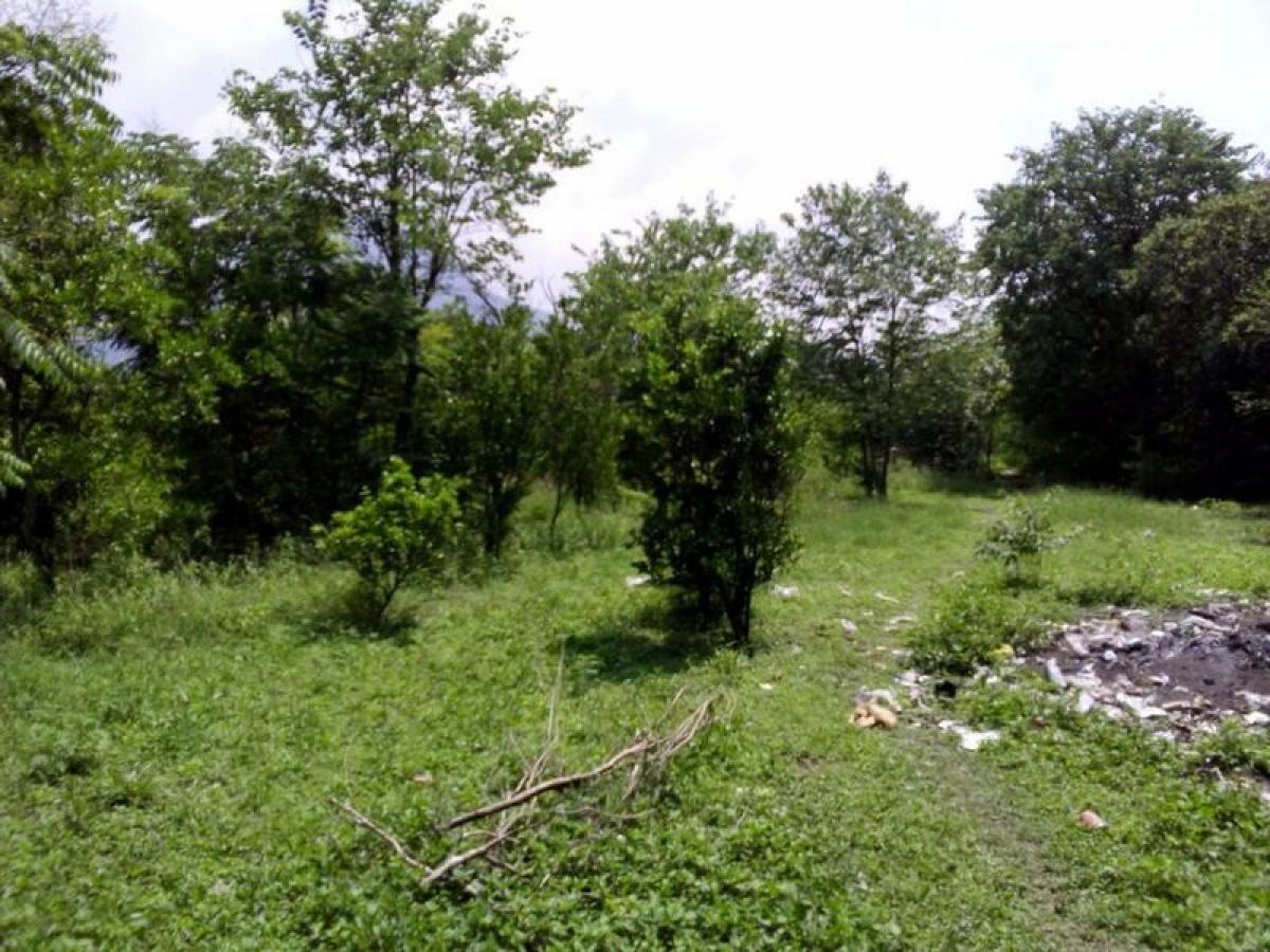 Picture of Development Site For Sale in Nuevo Leon, Nuevo Leon, Mexico