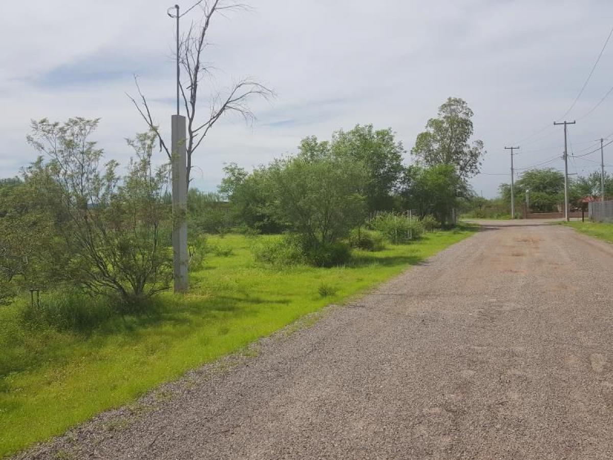 Picture of Residential Land For Sale in Hermosillo, Sonora, Mexico