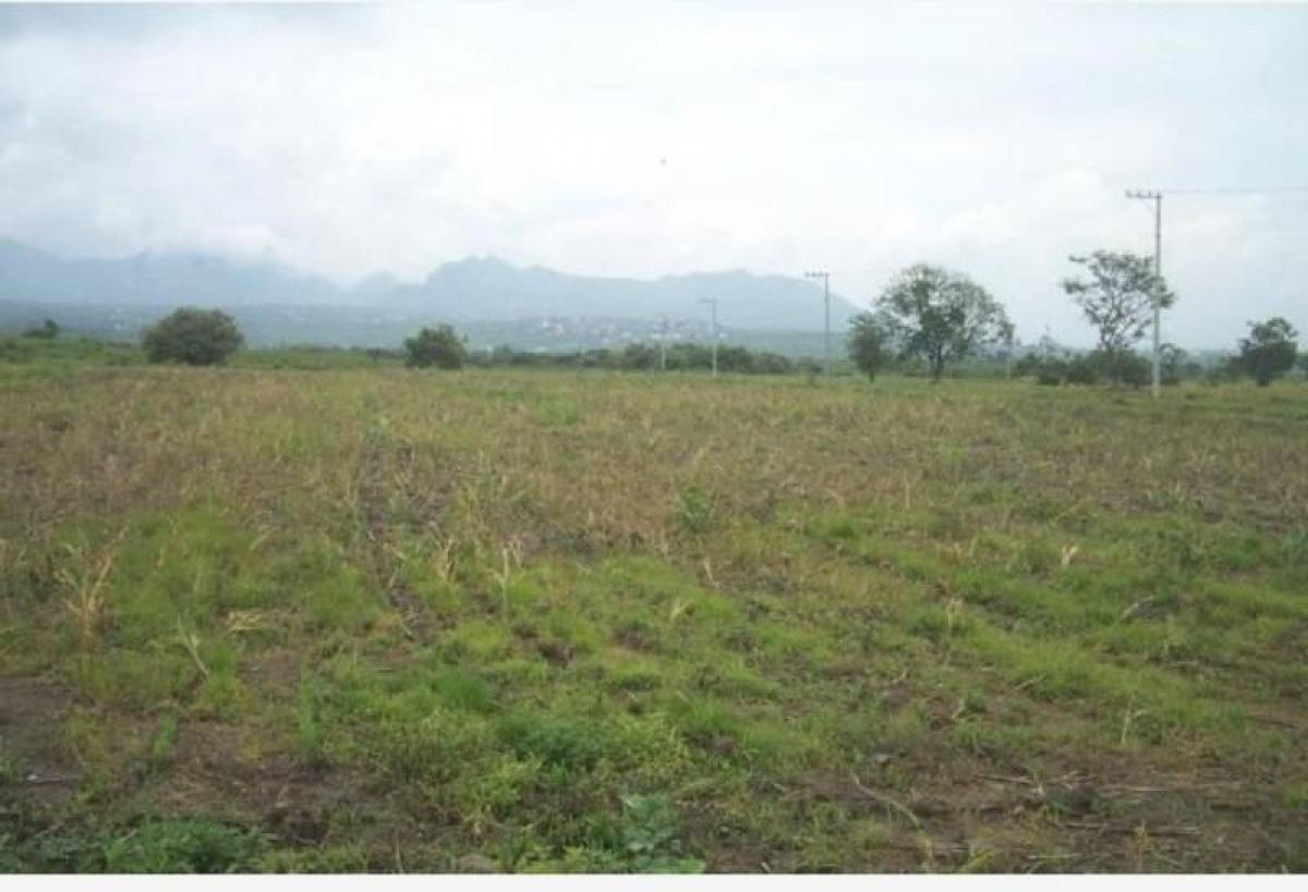 Picture of Residential Land For Sale in Atlatlahucan, Morelos, Mexico