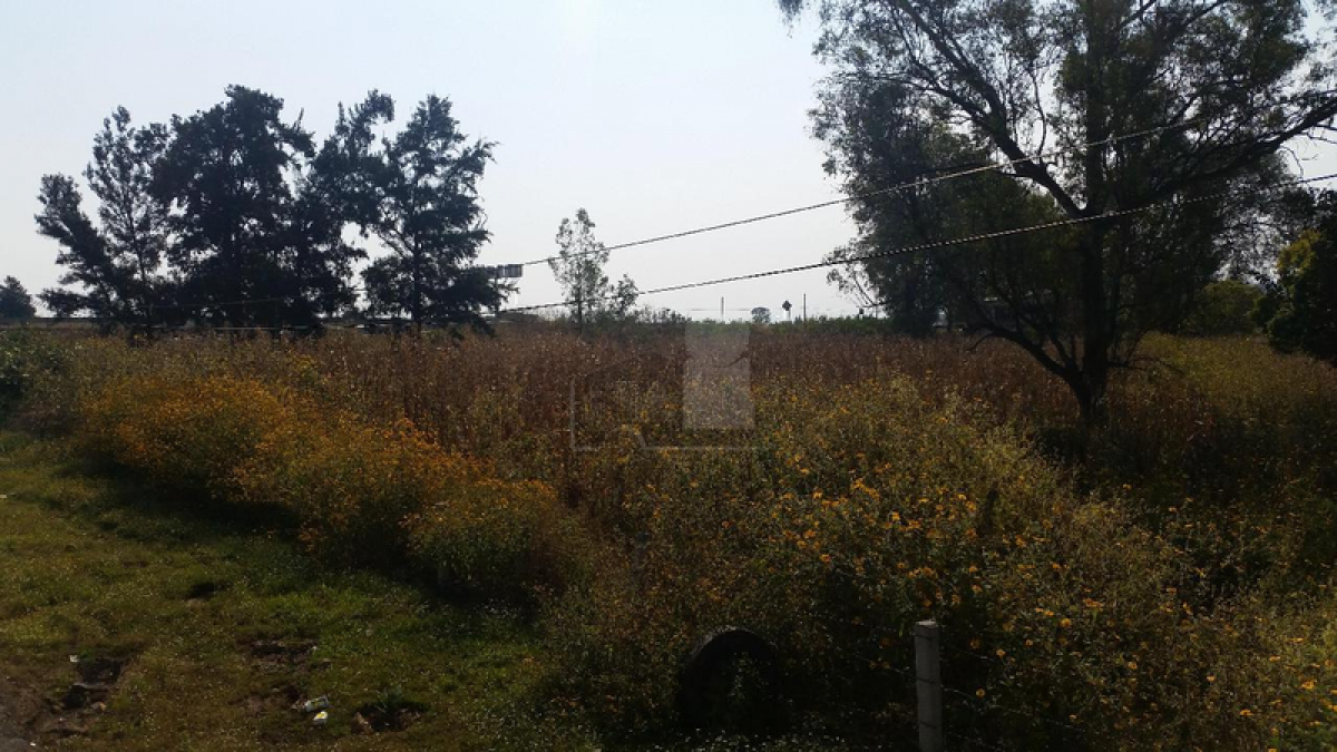 Picture of Residential Land For Sale in Totolapan, Morelos, Mexico