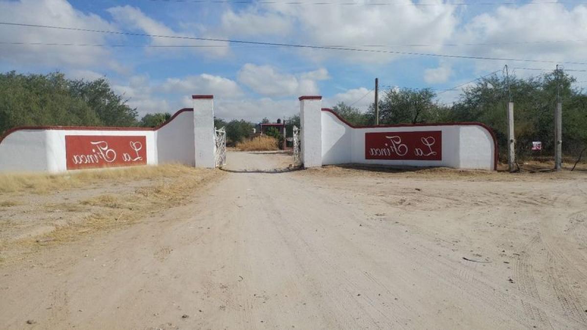 Picture of Residential Land For Sale in Caborca, Sonora, Mexico