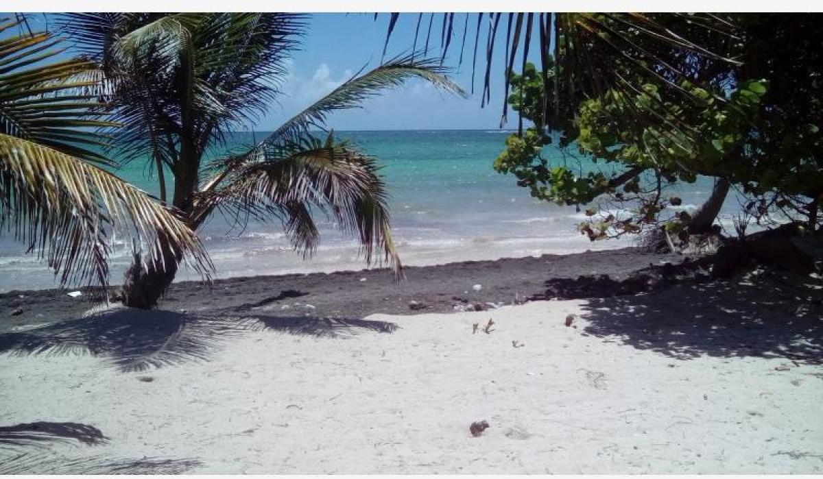 Picture of Residential Land For Sale in Othon P. Blanco, Quintana Roo, Mexico