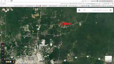 Residential Land For Sale in Peto, Mexico