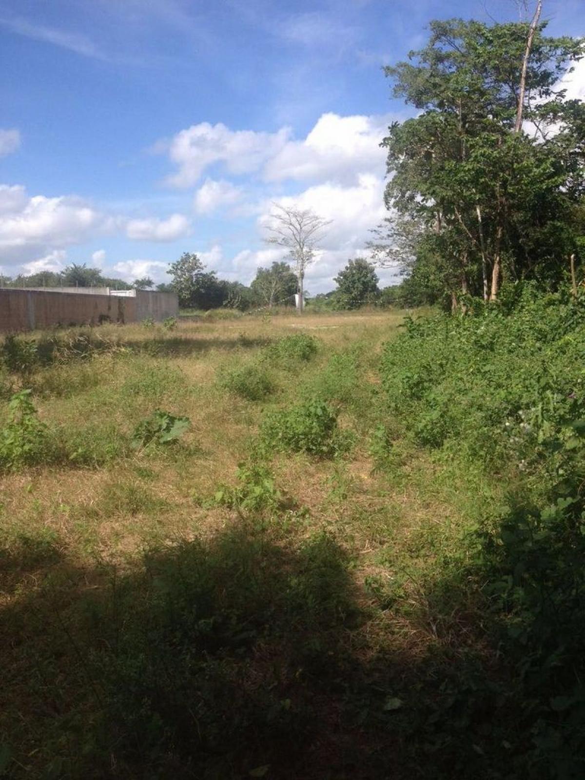 Picture of Residential Land For Sale in Cunduacan, Tabasco, Mexico