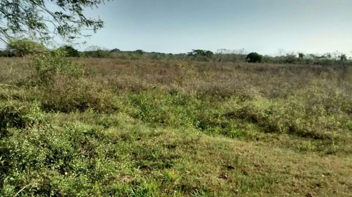 Picture of Residential Land For Sale in Oaxaca, Oaxaca, Mexico