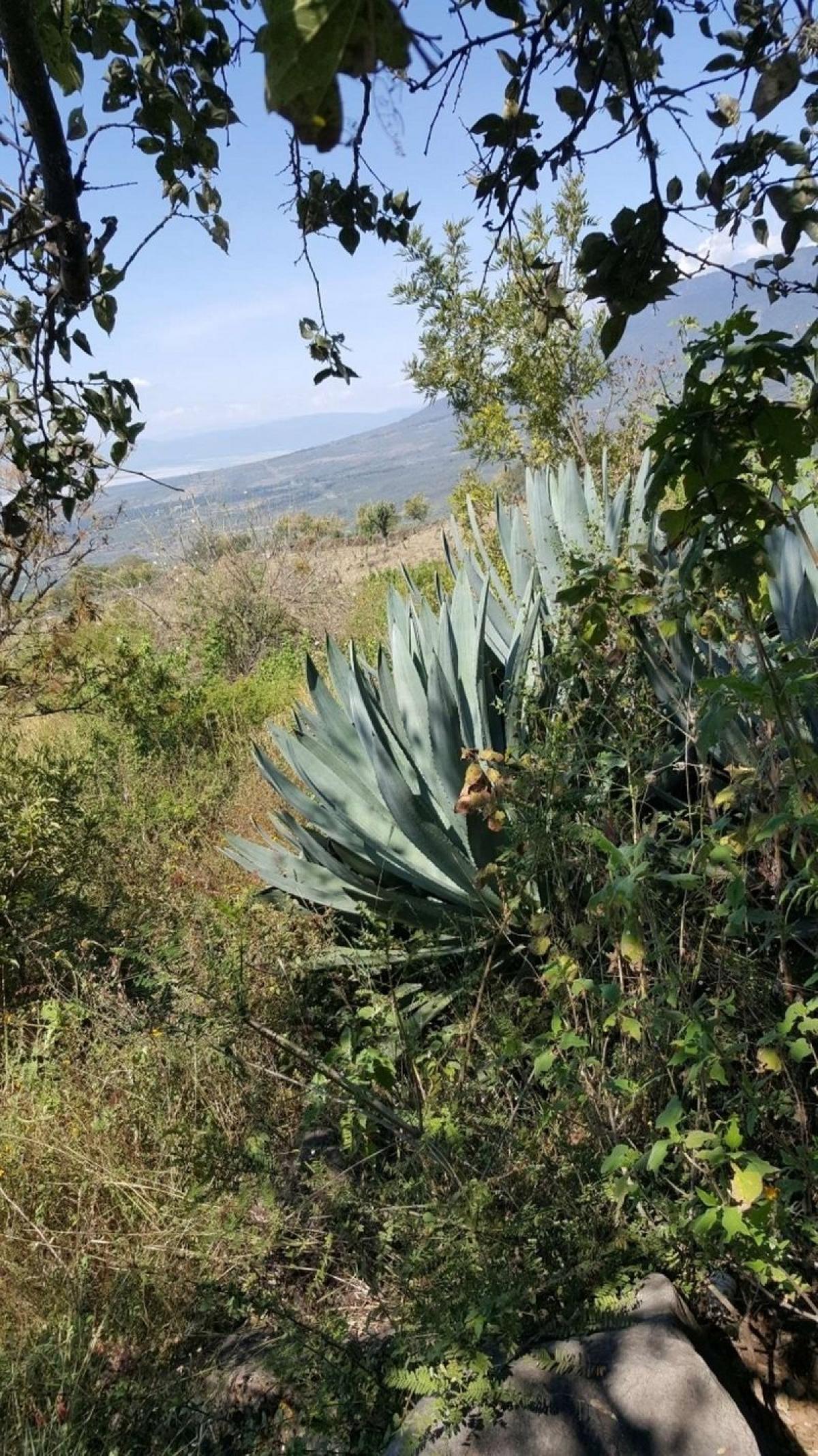 Picture of Residential Land For Sale in Tapalpa, Jalisco, Mexico