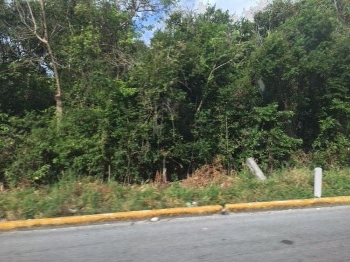 Picture of Development Site For Sale in Quintana Roo, Quintana Roo, Mexico