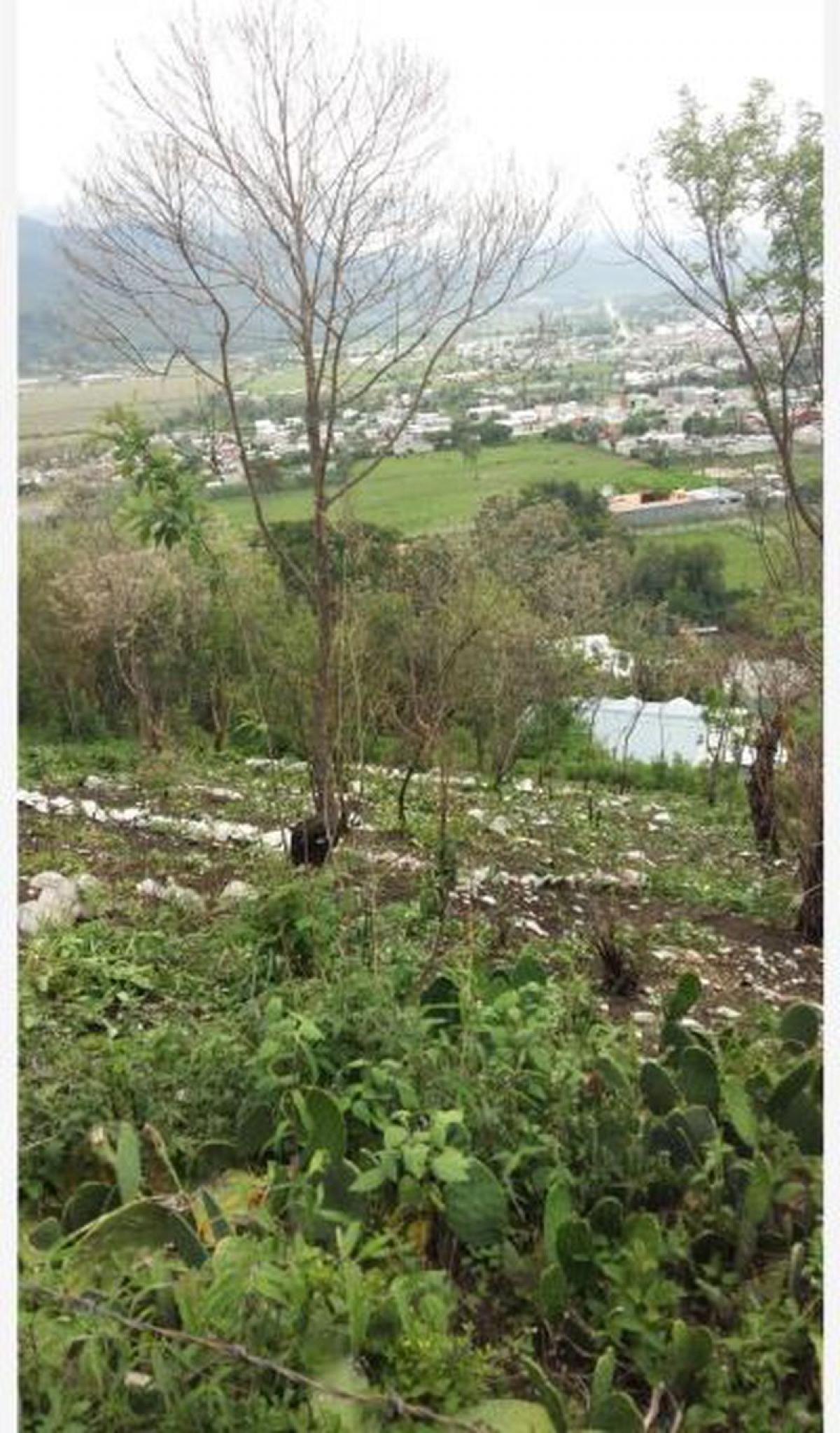 Picture of Residential Land For Sale in Teopisca, Chiapas, Mexico