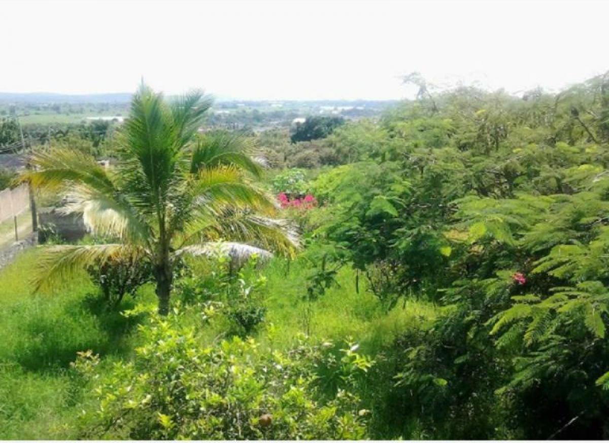 Picture of Residential Land For Sale in Yautepec, Morelos, Mexico