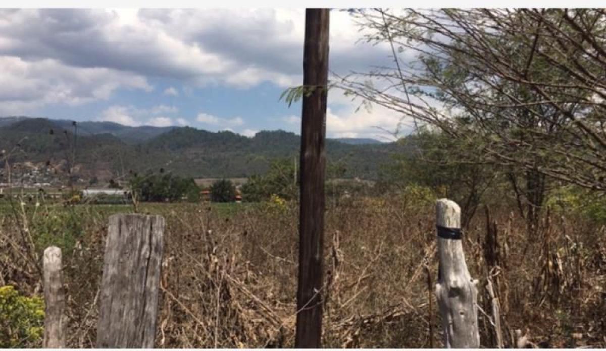 Picture of Residential Land For Sale in Amatenango Del Valle, Chiapas, Mexico