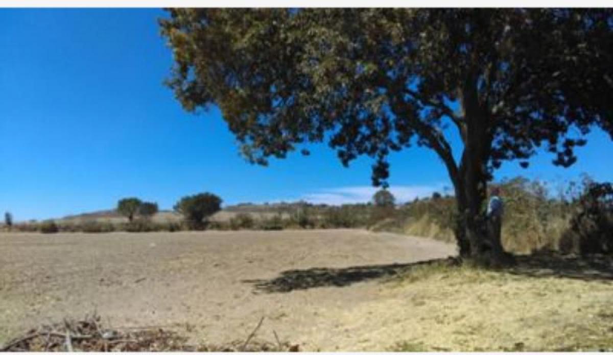 Picture of Residential Land For Sale in Zapopan, Jalisco, Mexico