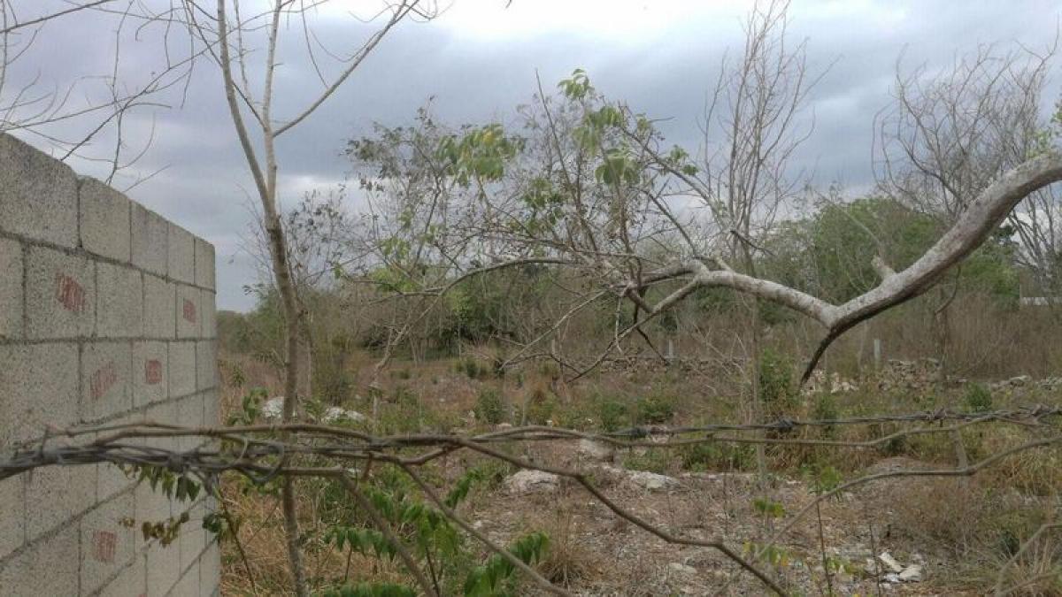 Picture of Development Site For Sale in Conkal, Yucatan, Mexico