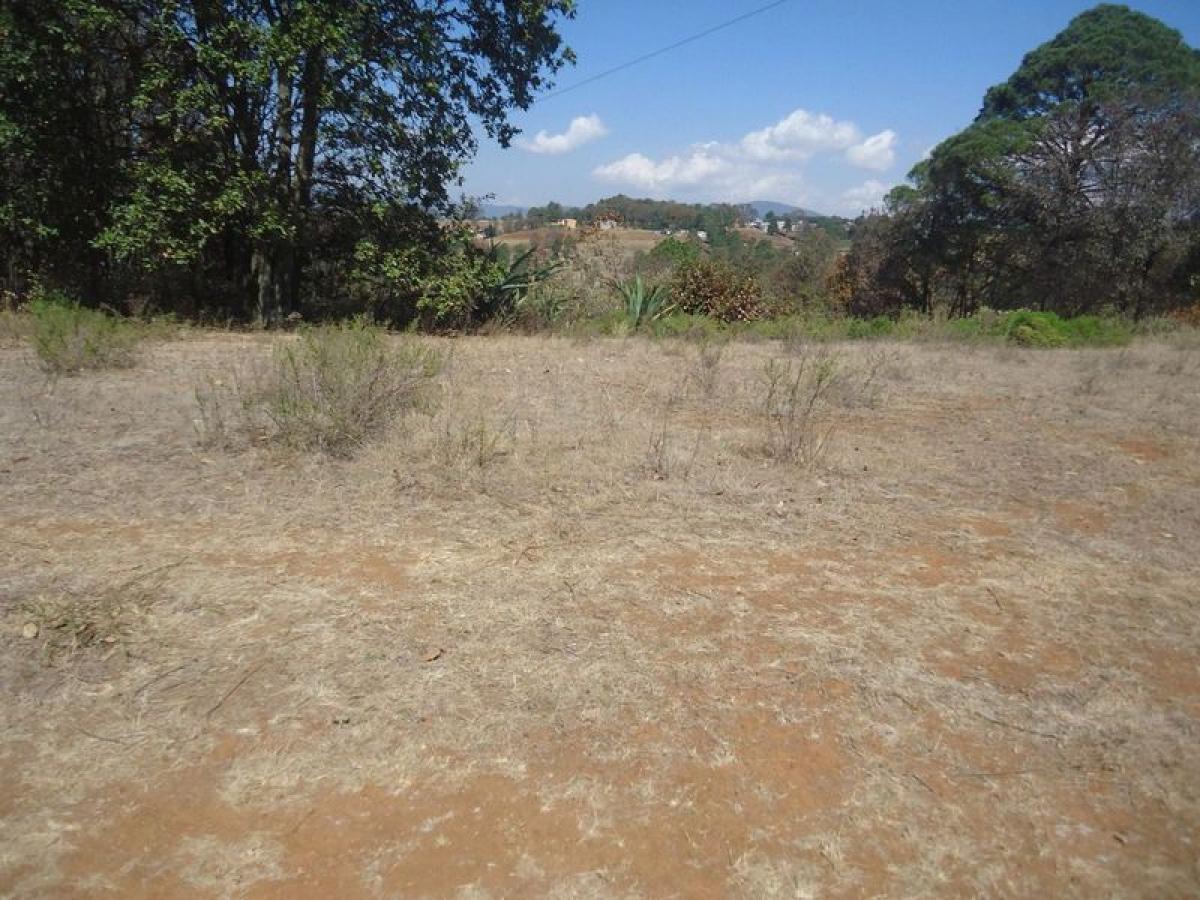 Picture of Residential Land For Sale in Villa Del Carbon, Mexico, Mexico