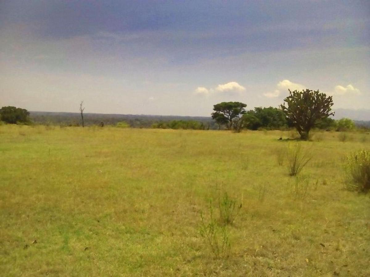 Picture of Residential Land For Sale in Villa Del Carbon, Mexico, Mexico