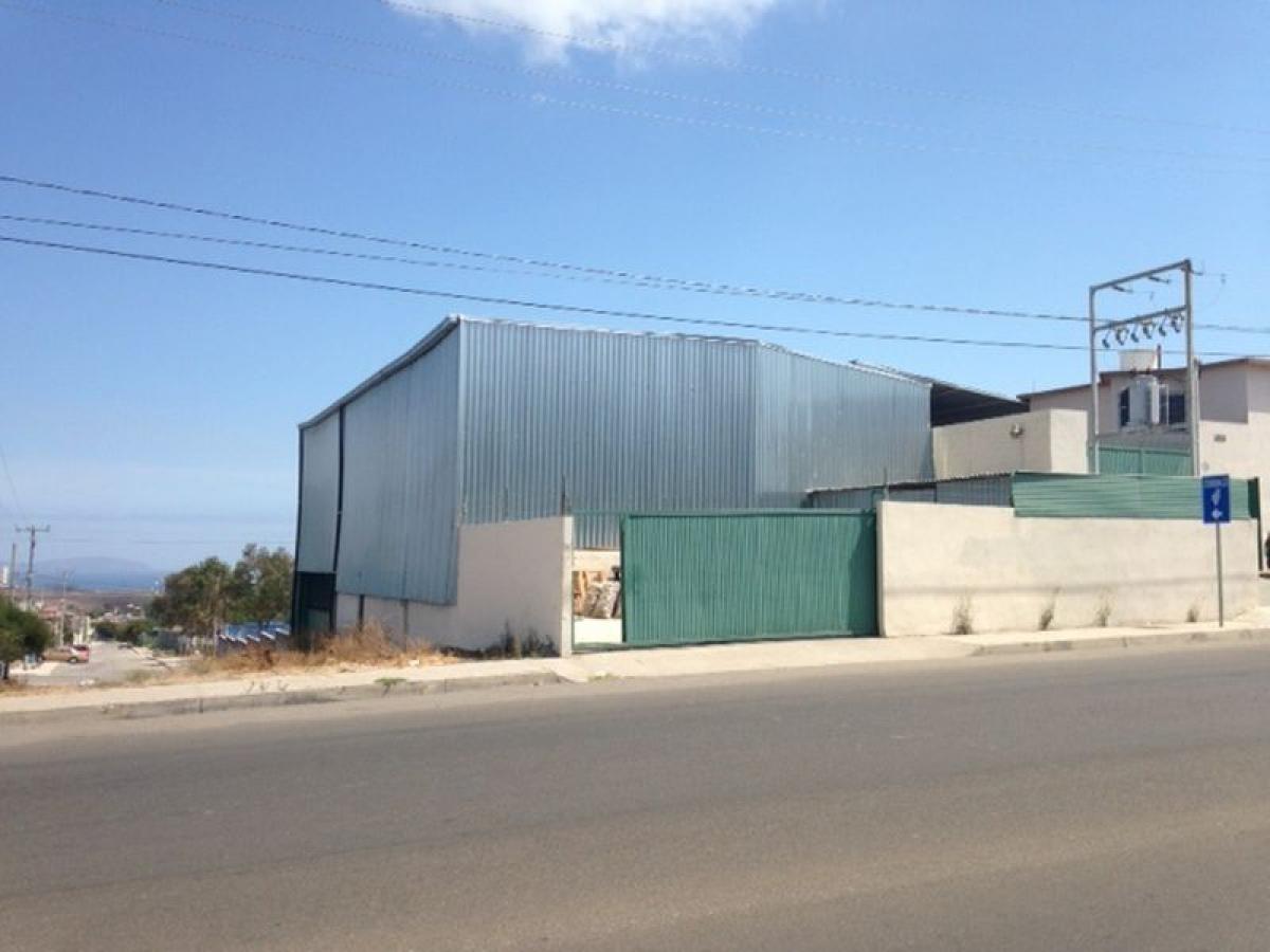 Picture of Other Commercial For Sale in Baja California, Baja California, Mexico