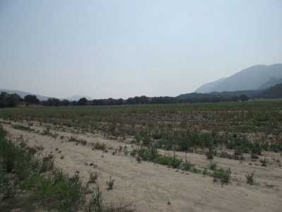 Residential Land For Sale in Tepeapulco, Mexico