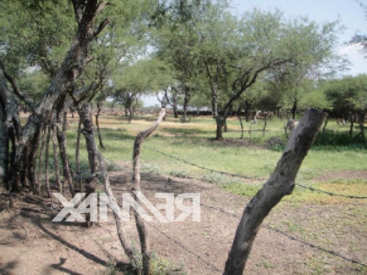 Picture of Other Commercial For Sale in Zacoalco De Torres, Jalisco, Mexico