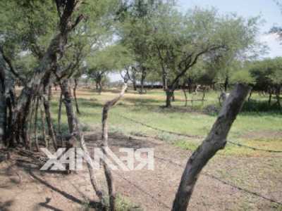 Other Commercial For Sale in Zacoalco De Torres, Mexico