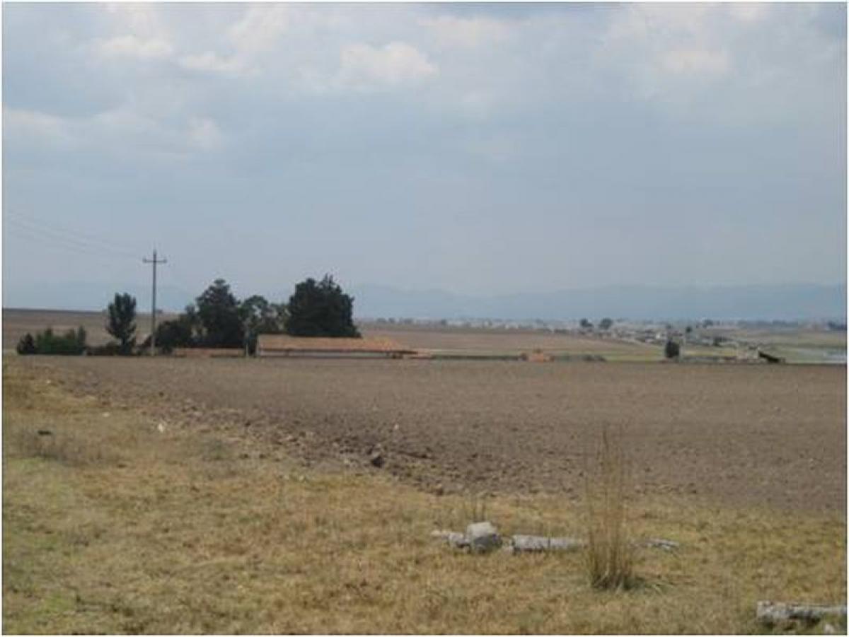 Picture of Other Commercial For Sale in Toluca, Mexico, Mexico