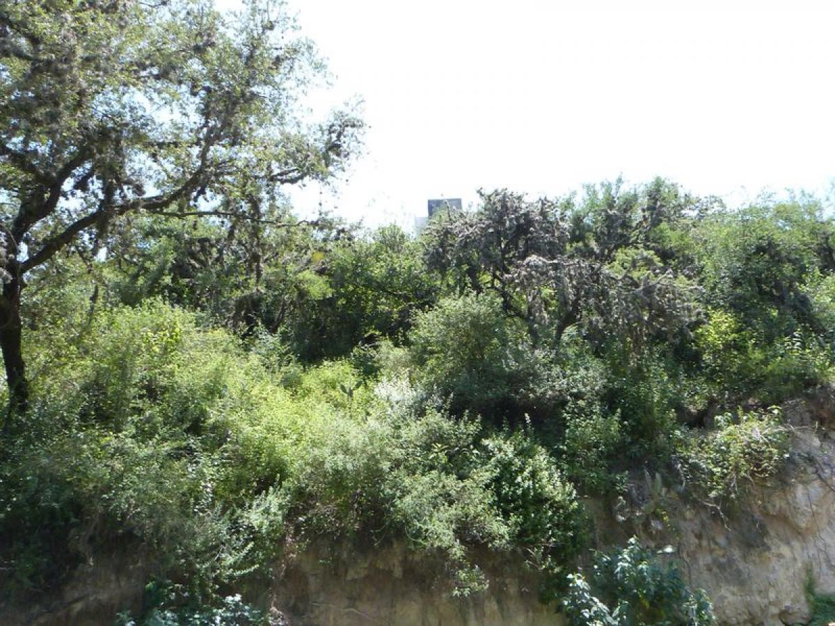 Picture of Other Commercial For Sale in Tepeji Del Rio De Ocampo, Hidalgo, Mexico