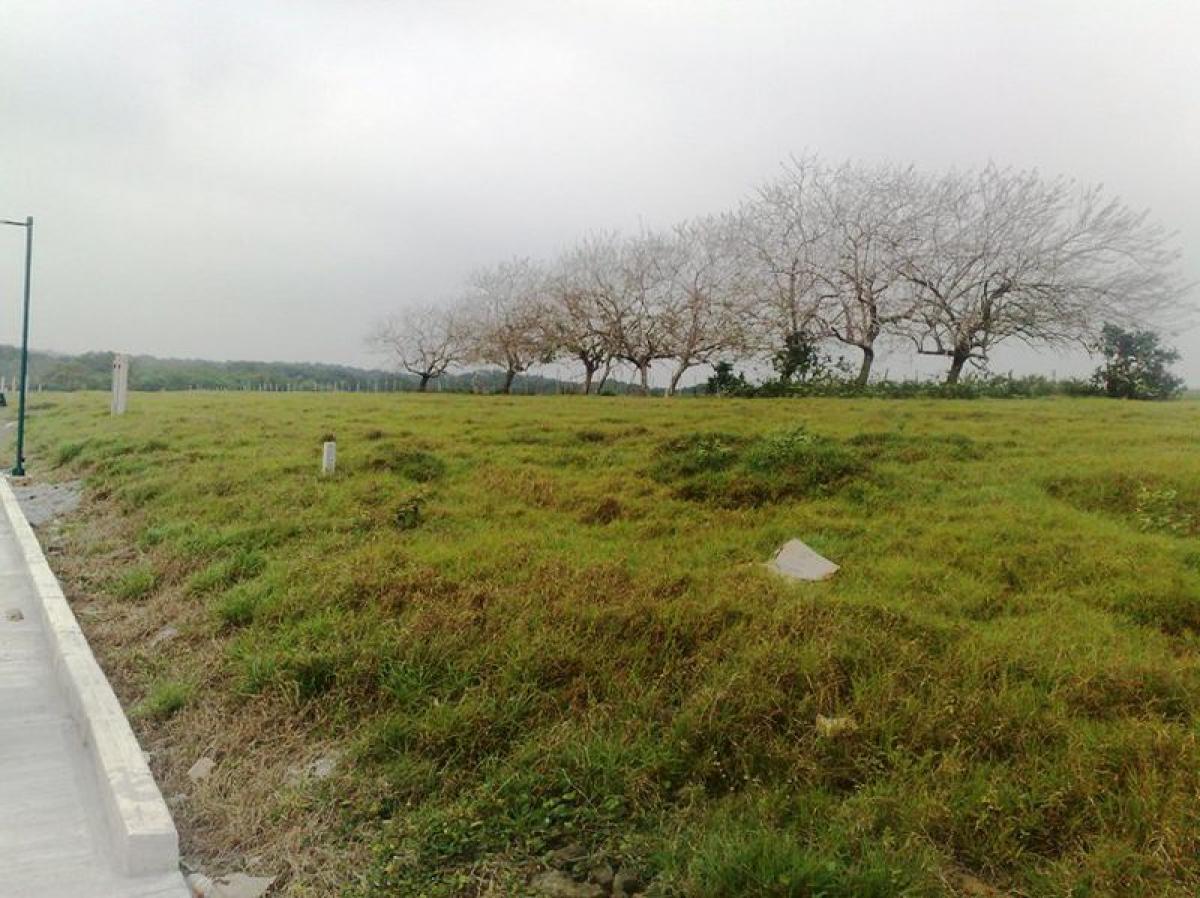 Picture of Other Commercial For Sale in Veracruz De Ignacio De La Llave, Veracruz, Mexico