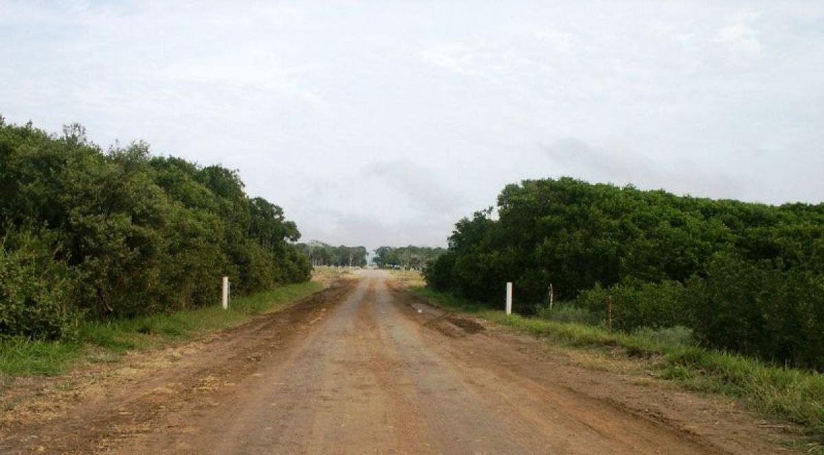 Picture of Other Commercial For Sale in Chihuahua, Chihuahua, Mexico