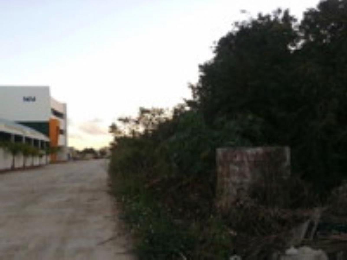 Picture of Residential Land For Sale in Quintana Roo, Quintana Roo, Mexico