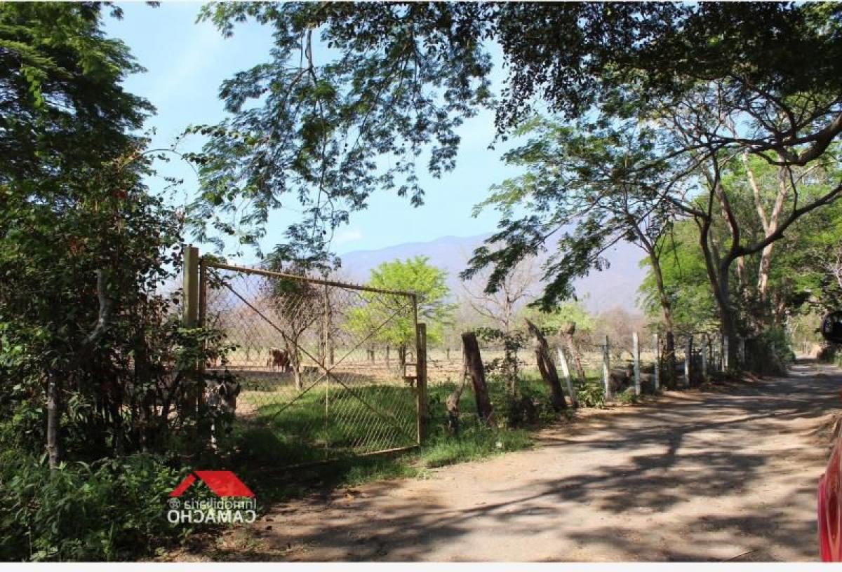 Picture of Residential Land For Sale in Comala, Colima, Mexico