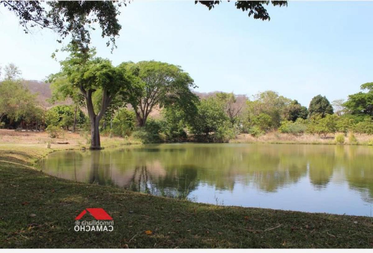 Picture of Residential Land For Sale in Comala, Colima, Mexico