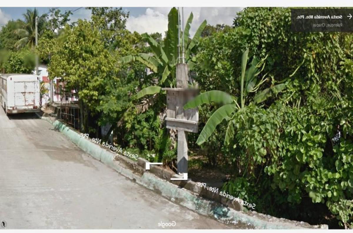 Picture of Residential Land For Sale in Palenque, Chiapas, Mexico