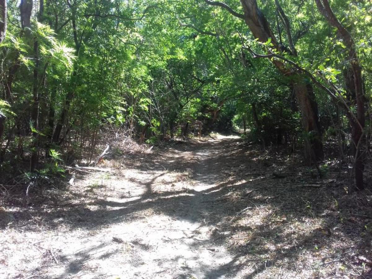 Picture of Residential Land For Sale in Arriaga, Chiapas, Mexico