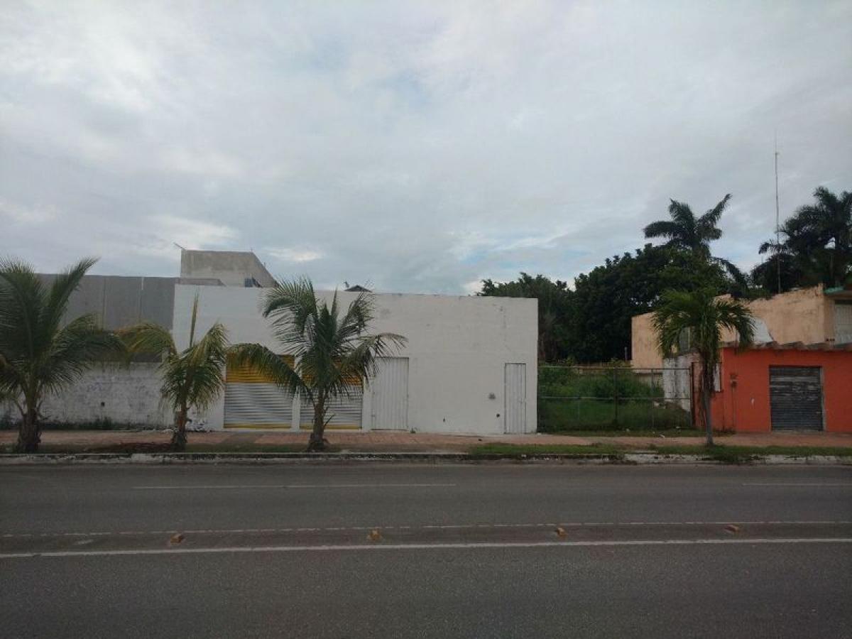 Picture of Residential Land For Sale in Othon P. Blanco, Quintana Roo, Mexico