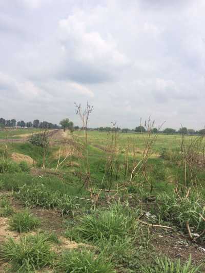 Residential Land For Sale in 