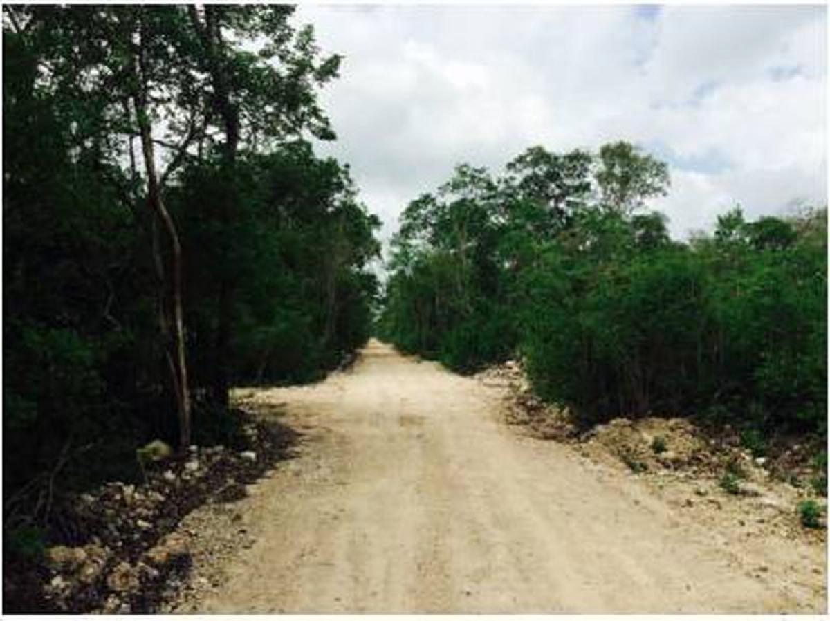 Picture of Development Site For Sale in Quintana Roo, Quintana Roo, Mexico