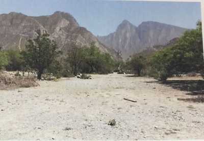 Development Site For Sale in Nuevo Leon, Mexico