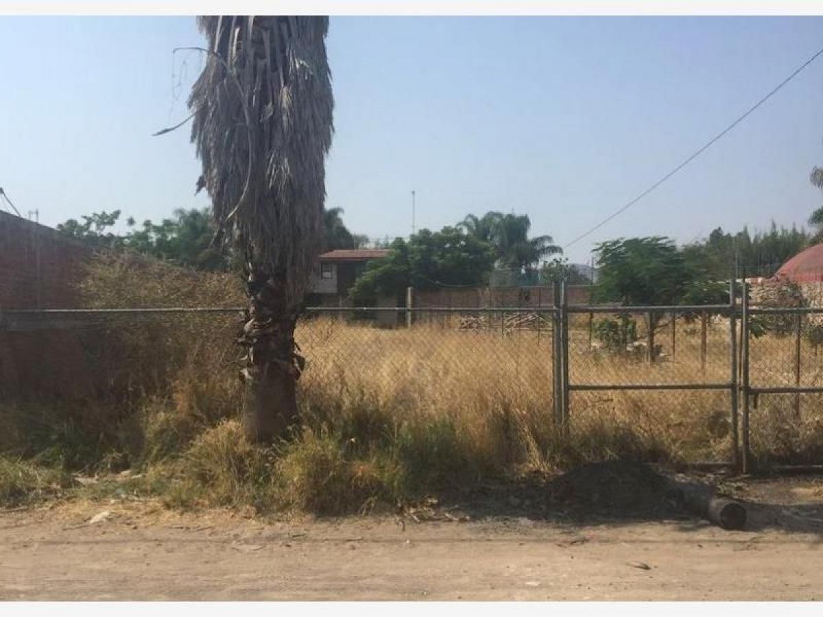 Picture of Residential Land For Sale in Zapopan, Jalisco, Mexico