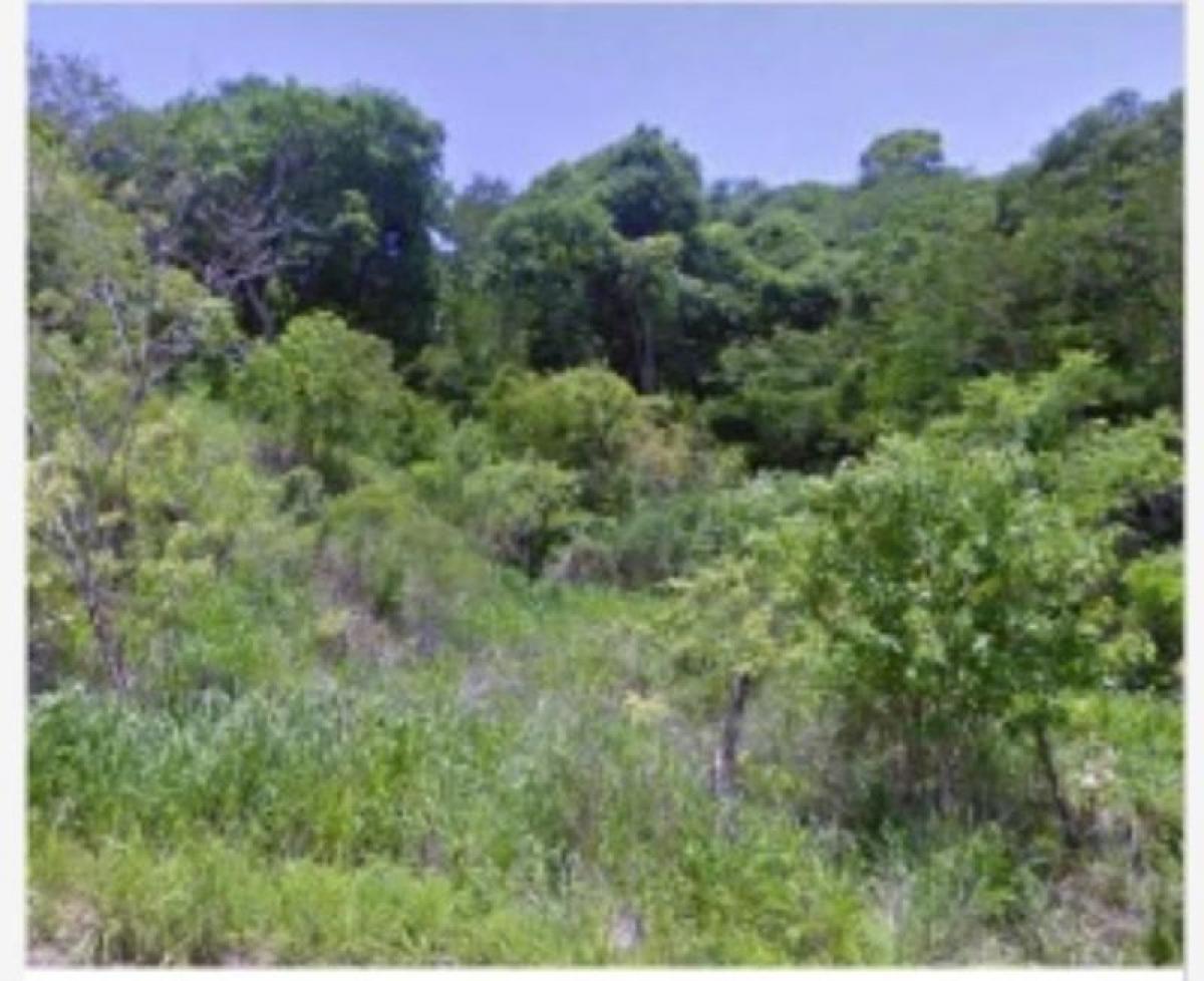 Picture of Residential Land For Sale in Zihuatanejo De Azueta, Guerrero, Mexico