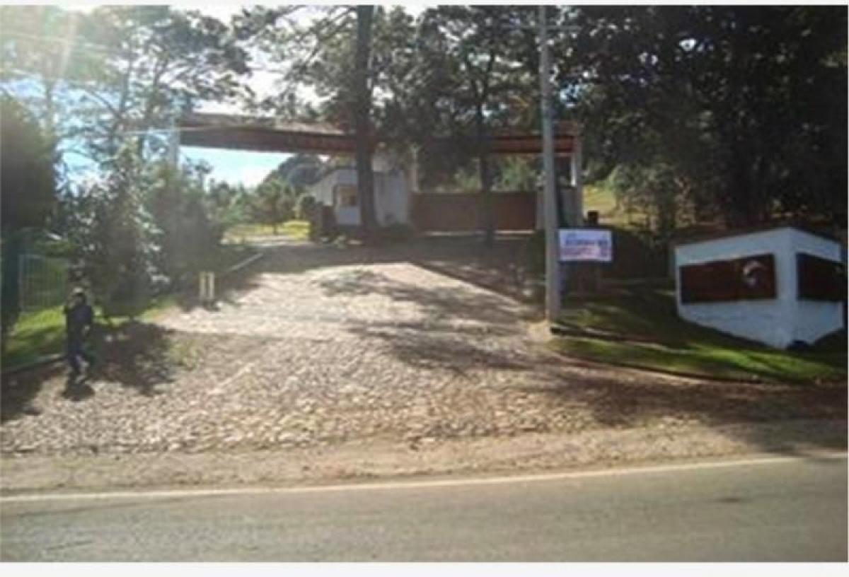 Picture of Residential Land For Sale in Mazamitla, Jalisco, Mexico