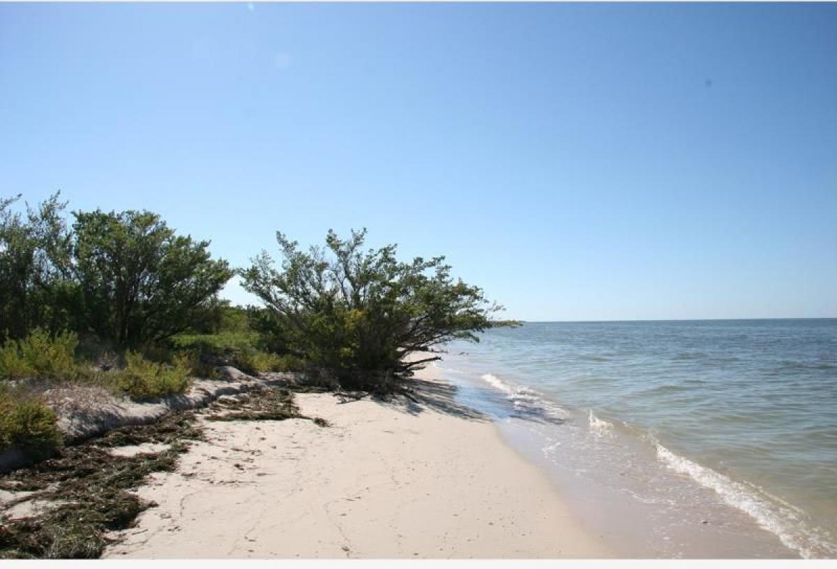 Picture of Residential Land For Sale in Sinanche, Yucatan, Mexico