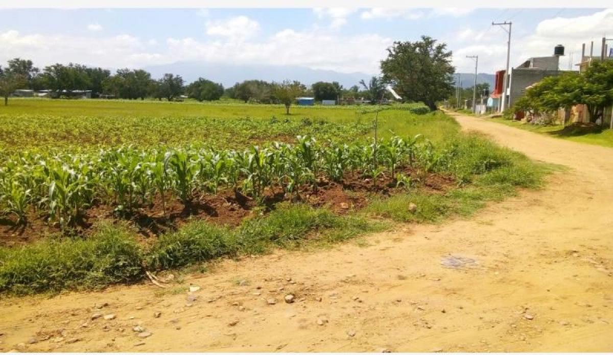 Picture of Residential Land For Sale in Cuilapam De Guerrero, Oaxaca, Mexico