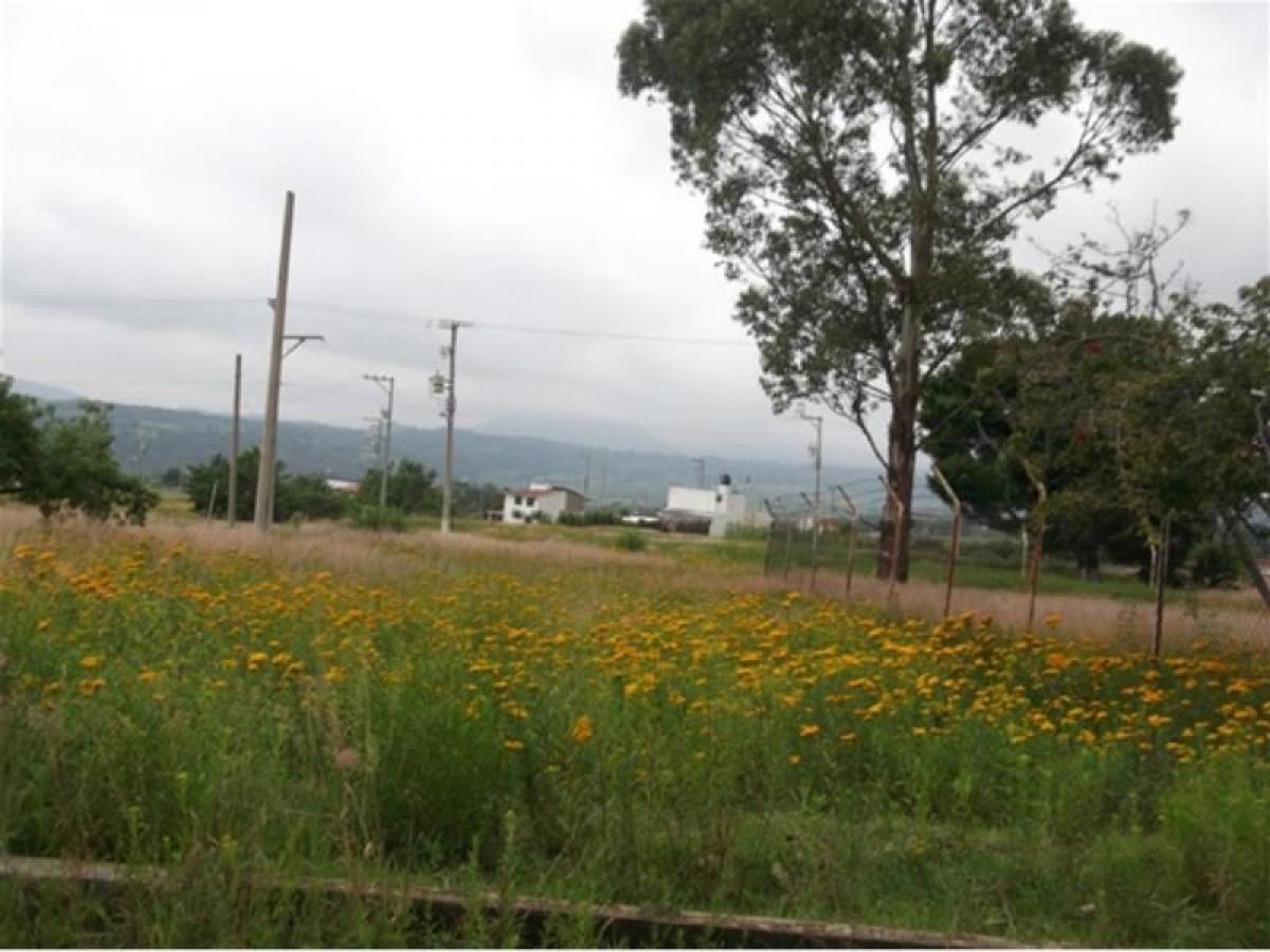 Picture of Residential Land For Sale in Atlatlahucan, Morelos, Mexico