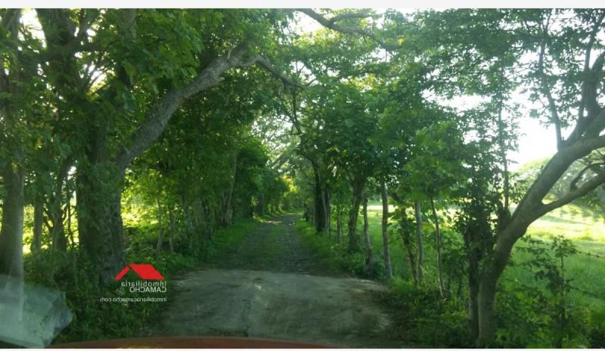 Picture of Residential Land For Sale in Comala, Colima, Mexico