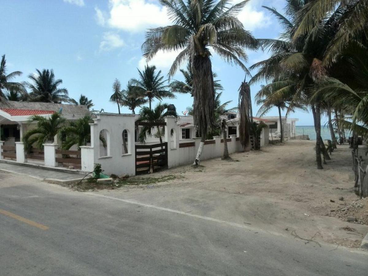 Picture of Other Commercial For Sale in Yobain, Yucatan, Mexico