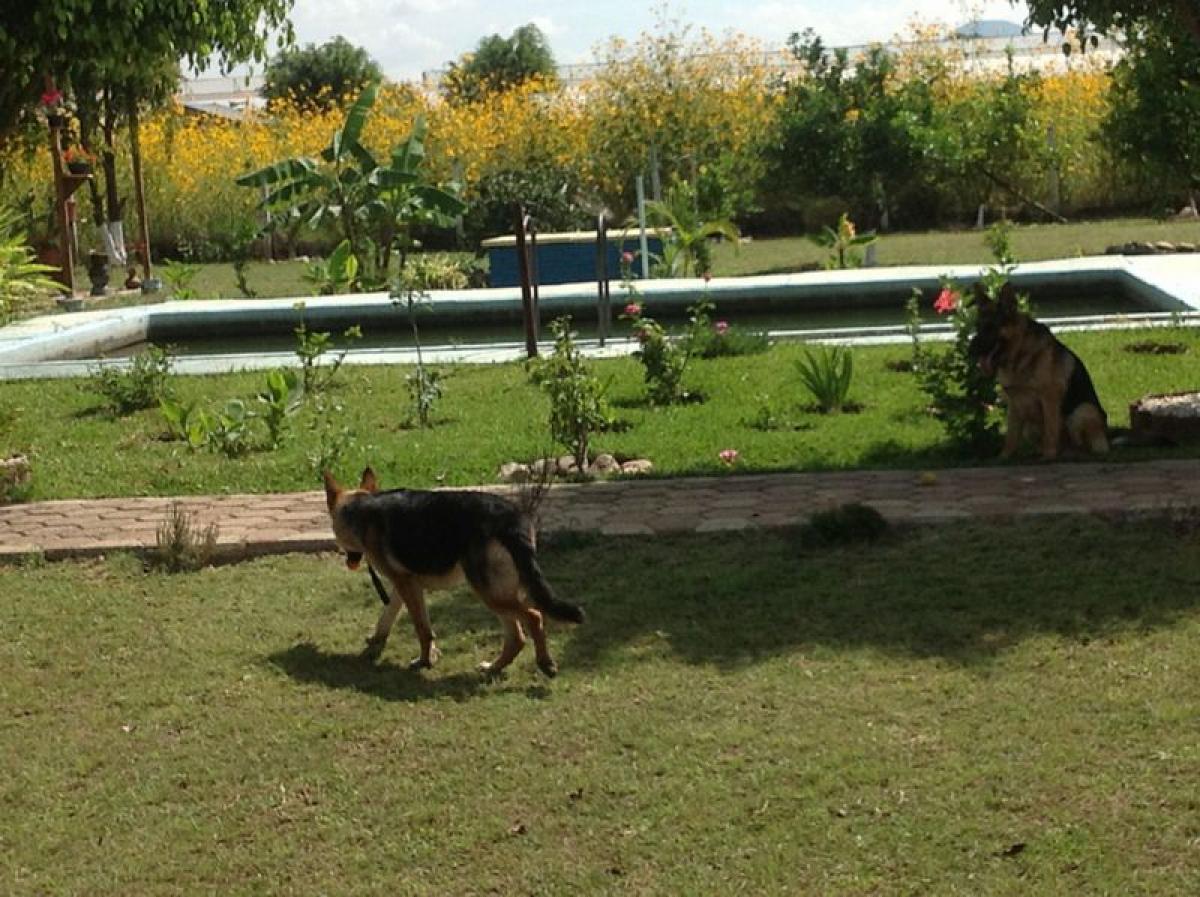 Picture of Development Site For Sale in Oaxaca, Oaxaca, Mexico