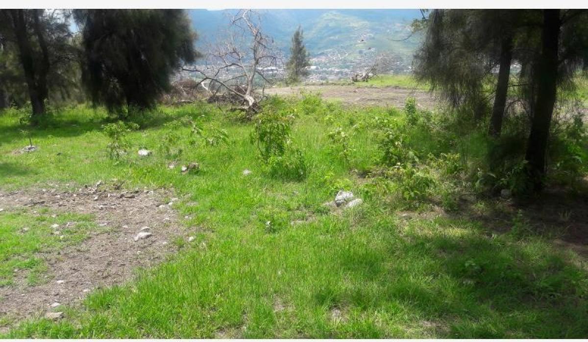 Picture of Residential Land For Sale in Chilpancingo De Los Bravo, Guerrero, Mexico