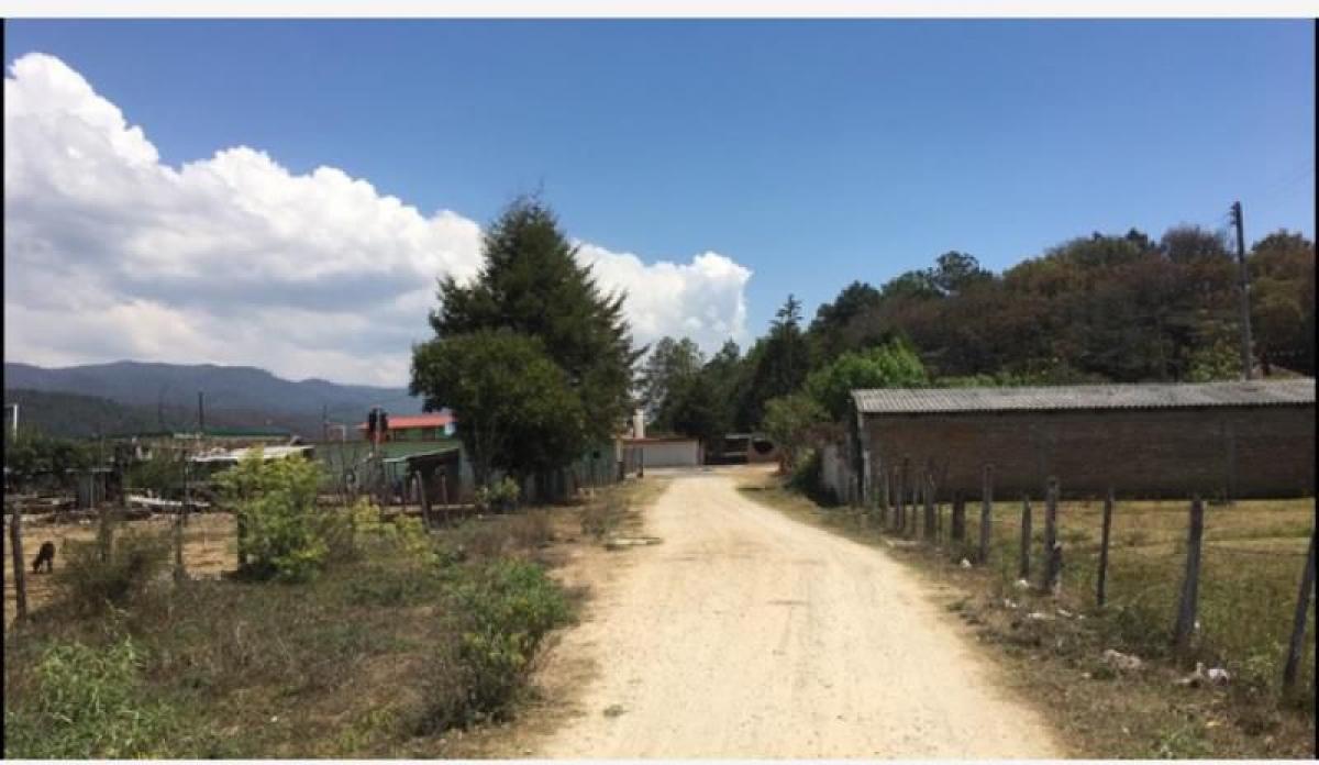 Picture of Residential Land For Sale in Amatenango Del Valle, Chiapas, Mexico