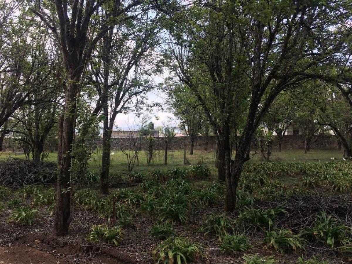 Picture of Residential Land For Sale in San Cristobal De Las Casas, Chiapas, Mexico