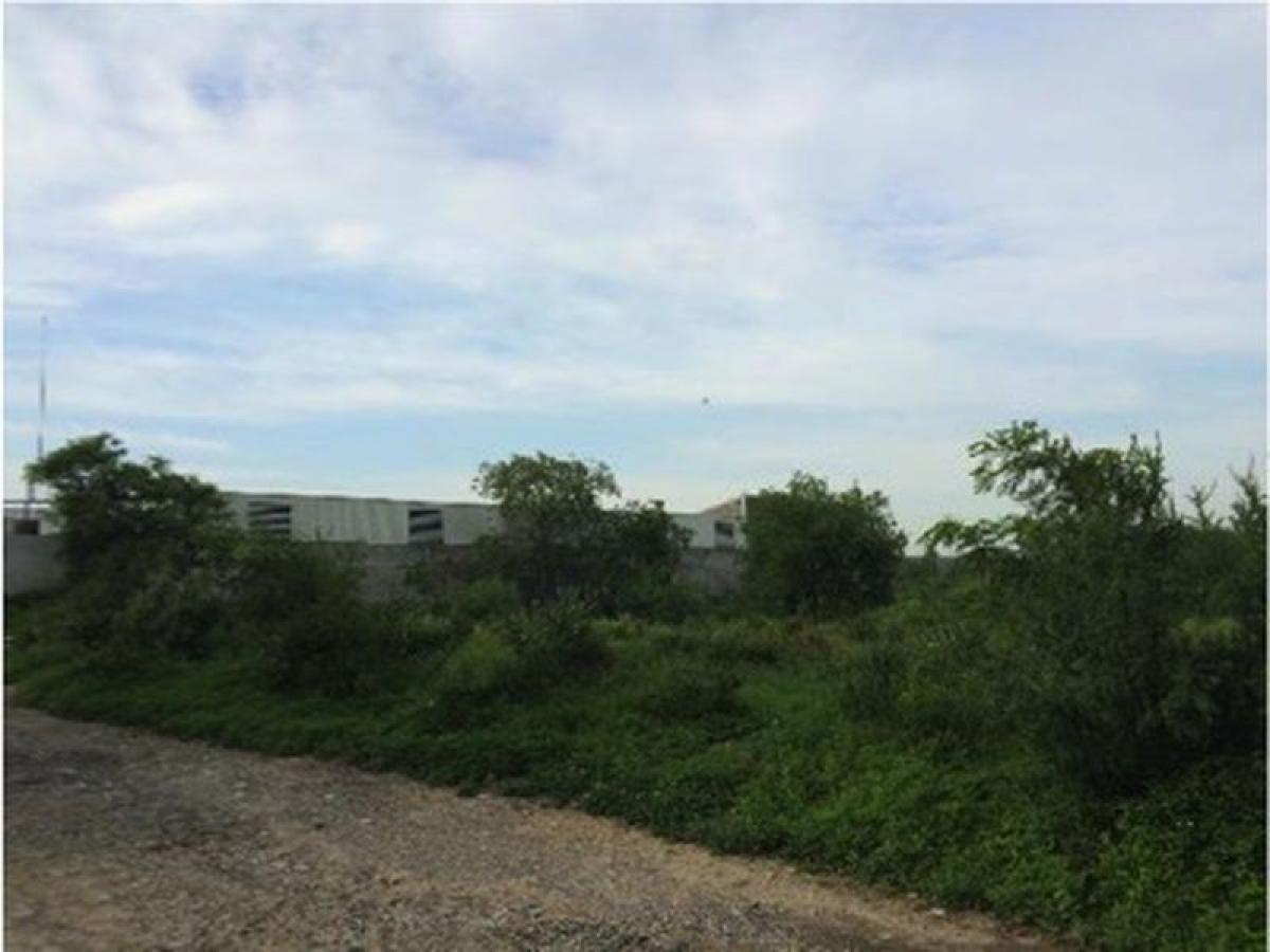 Picture of Residential Land For Sale in Guadalupe, Nuevo Leon, Mexico