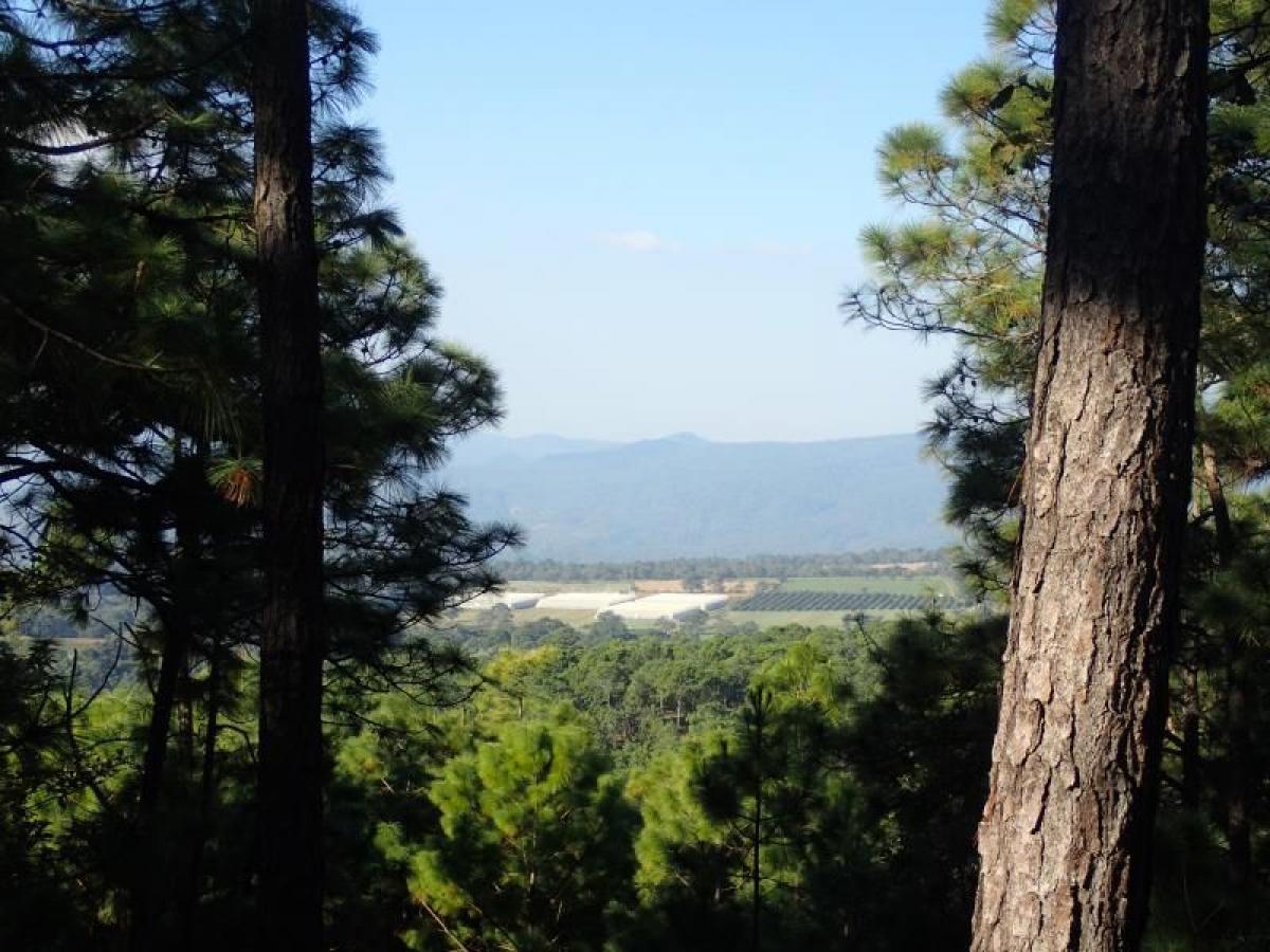 Picture of Residential Land For Sale in Mazamitla, Jalisco, Mexico